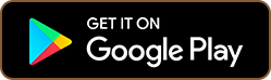 Download Google Store Icon